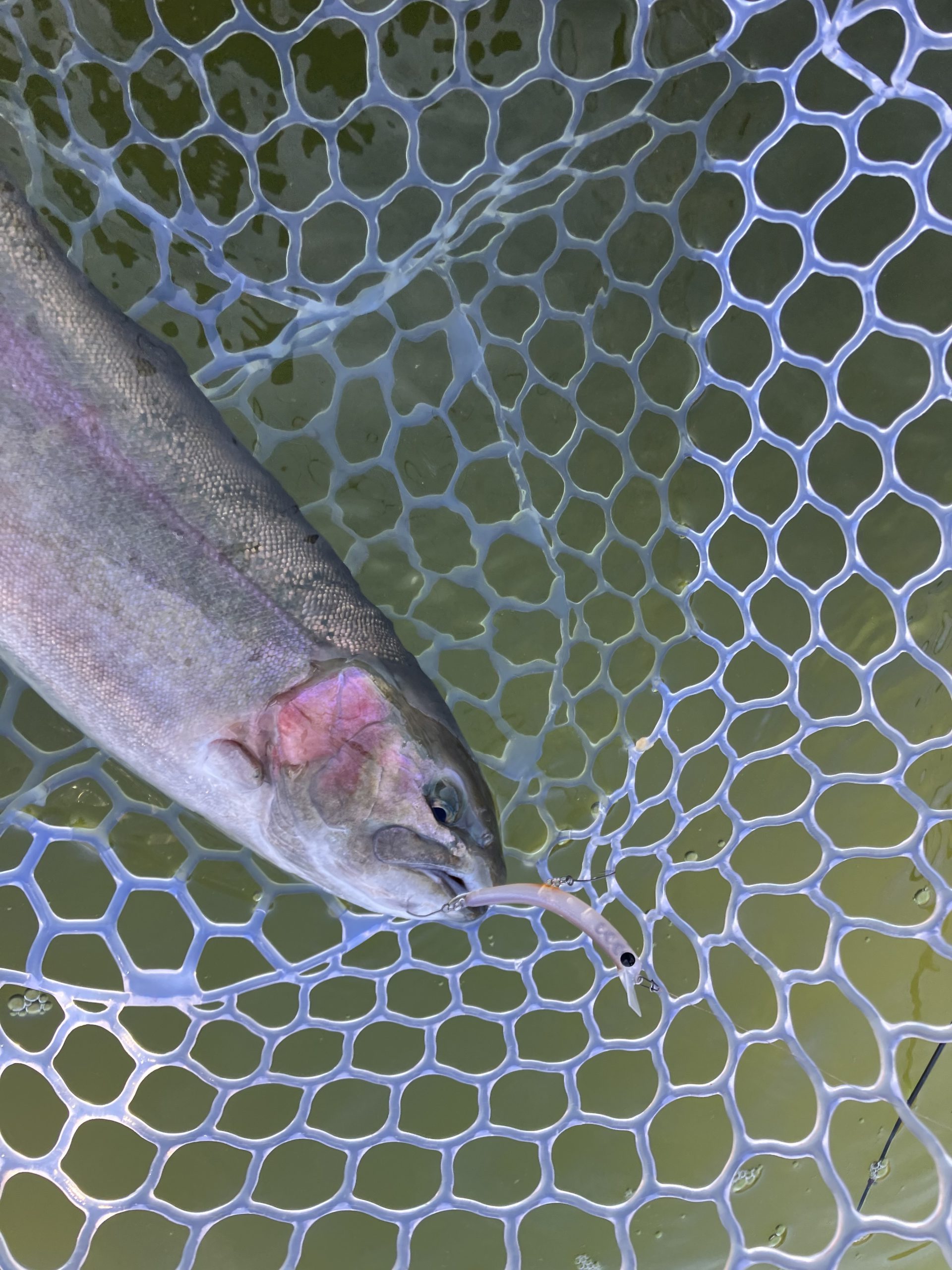 １月18日（日）羽村市　うにねこ　さん