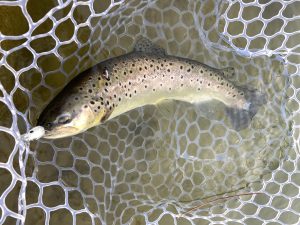 1月17日（土）武蔵村山市　つきてくさん