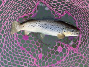 12月31日(水)　八王子市　Bさんさん