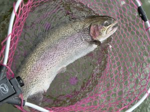 1月2日（金）八王子市　Bさん