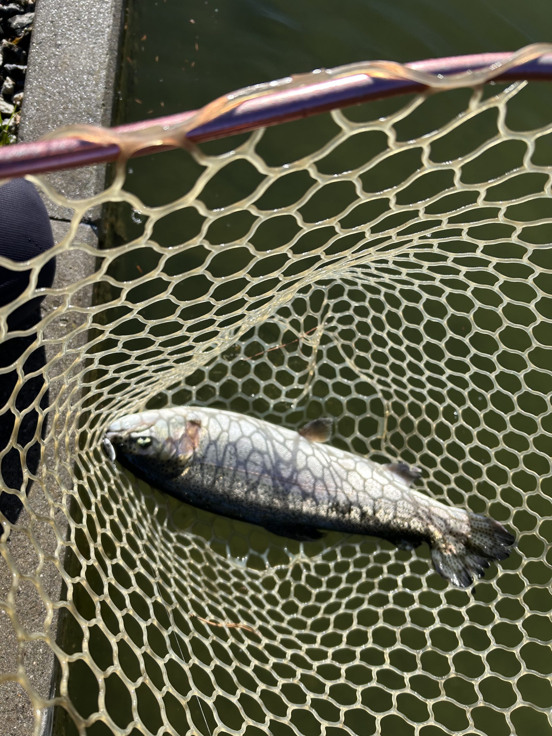 1月12日(月)　杉並区　ナカムーさん