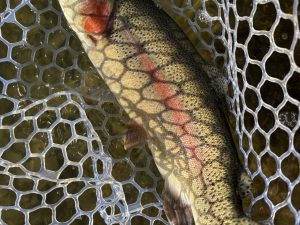 1月12日(月)　青梅市　鈴木さん