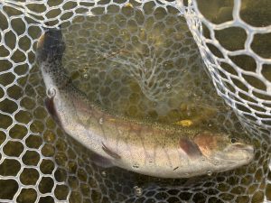 1月16日（金）青梅市　鈴木さん