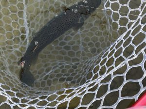 1月24日（土）府中市　江藤さん