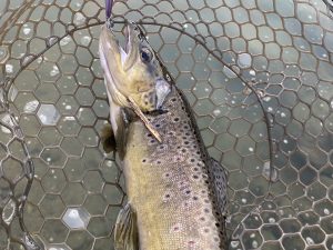 12月31日(水)　あきる野市　Masa10さん