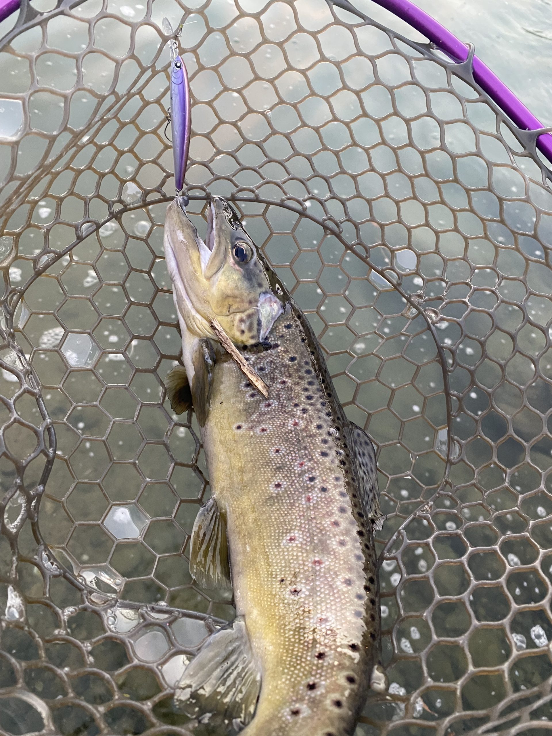 12月31日(水)　あきる野市　Masa10さん