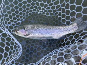 １月23日（金）大和市　ゆうじ　さん