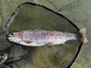 １月18日（日）町田市　から揚げ班長　さん