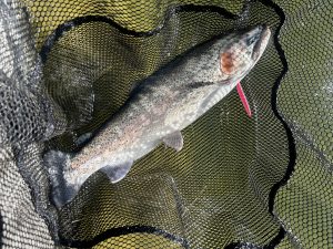 １月23日（金）町田市　から揚げ班長　さん