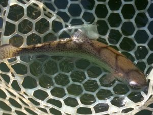 1月27日（火）あきる野市　Shige　さん