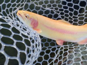 1月28日(水)　多摩市　Aさん