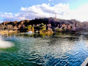 1月21日(水)　日記