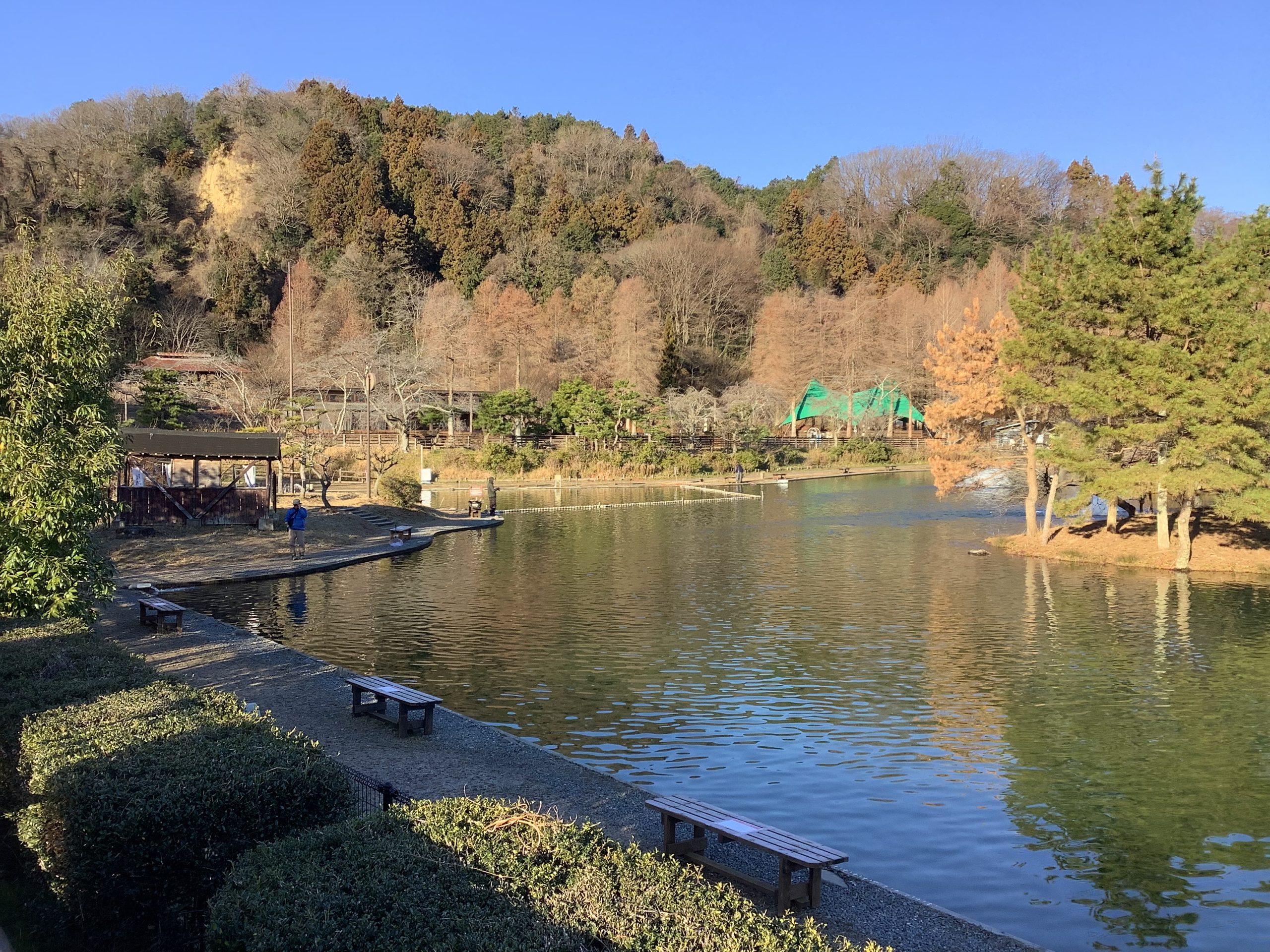 1月14日（水）日記