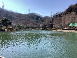 1月16日（金）　日記