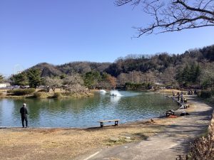 １月１８日（日）　日記