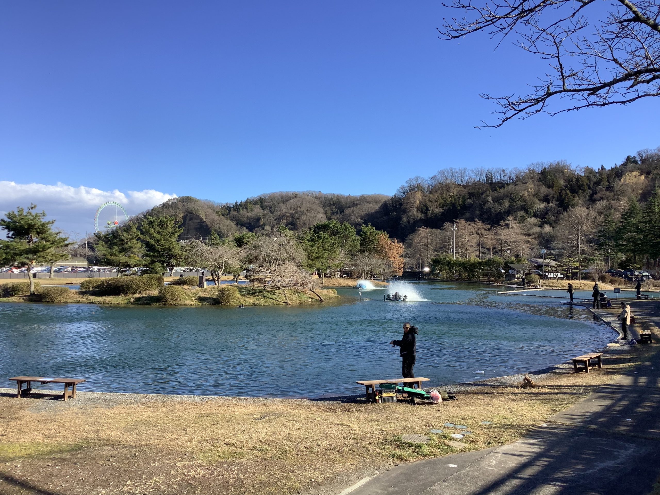 1月11日（日）日記