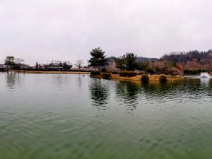 2月7日(土)　日記