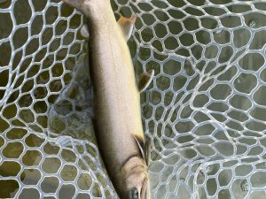 2月24日(火)　坂戸市　タロヤンさん