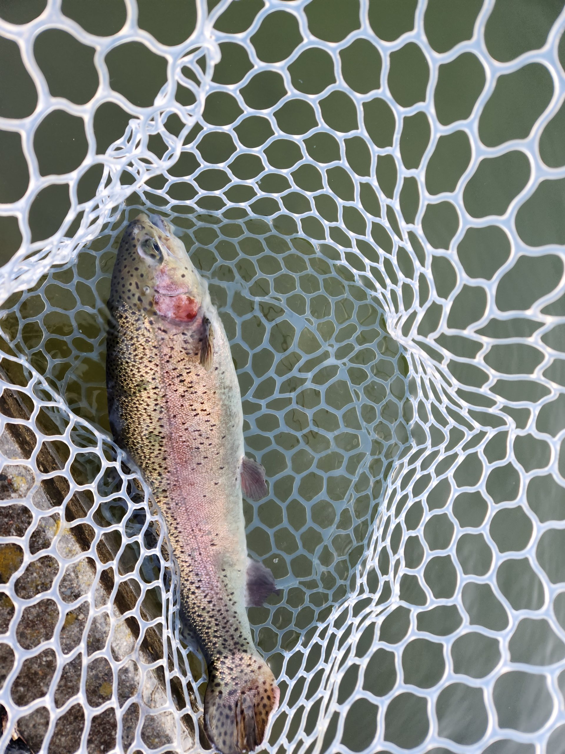 2月3日(火)　あきる野市　a…hiranoさん