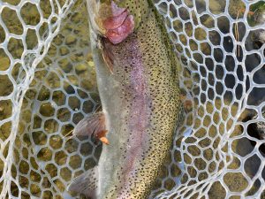 2月10日(火)　あきる野市　a…hiranoさん