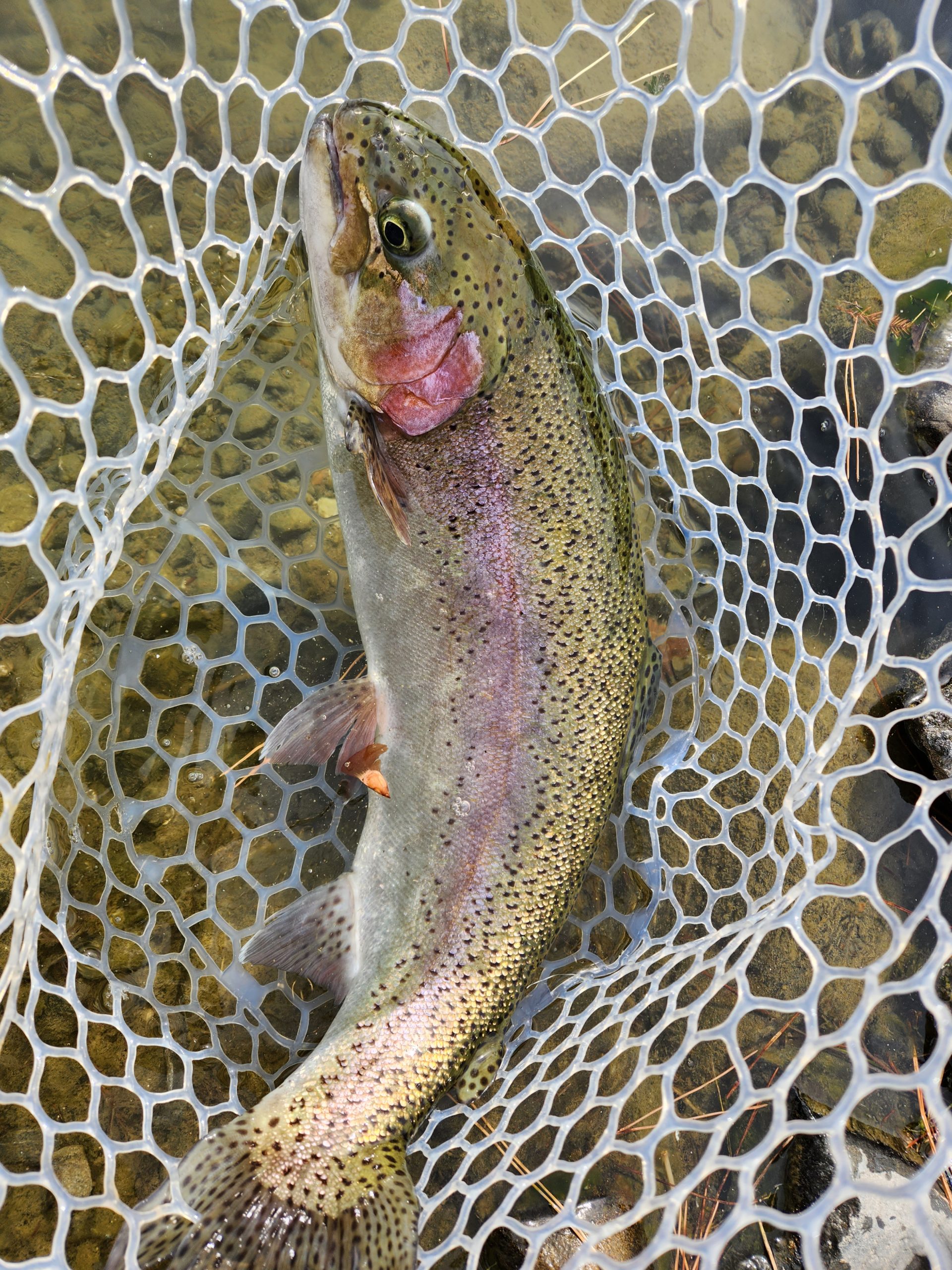 2月10日(火)　あきる野市　a…hiranoさん