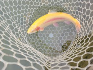 2月11日（水）八王子市　ウスイさん