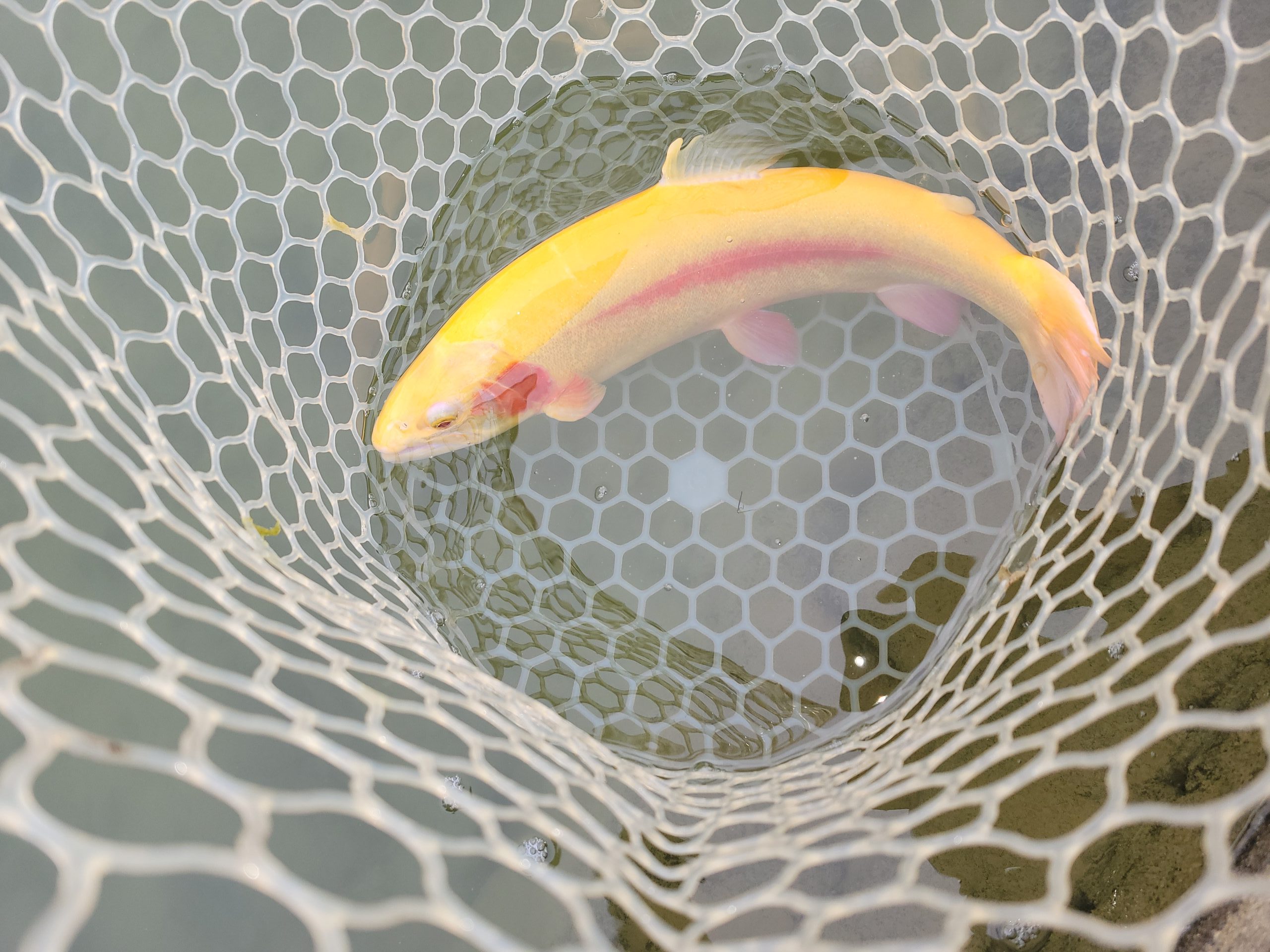 2月11日（水）八王子市　ウスイさん