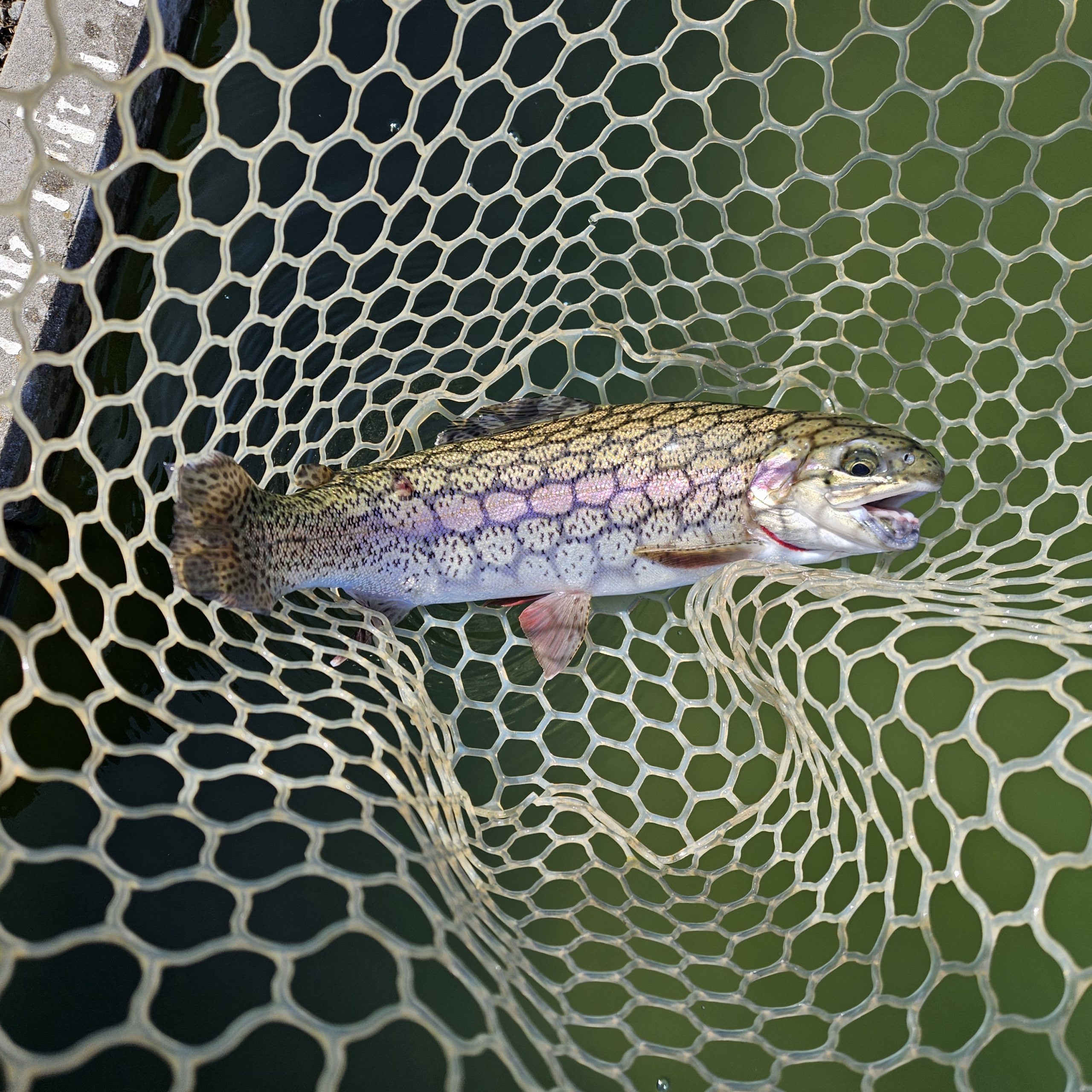 2月13日（金）八王子市　takaさん