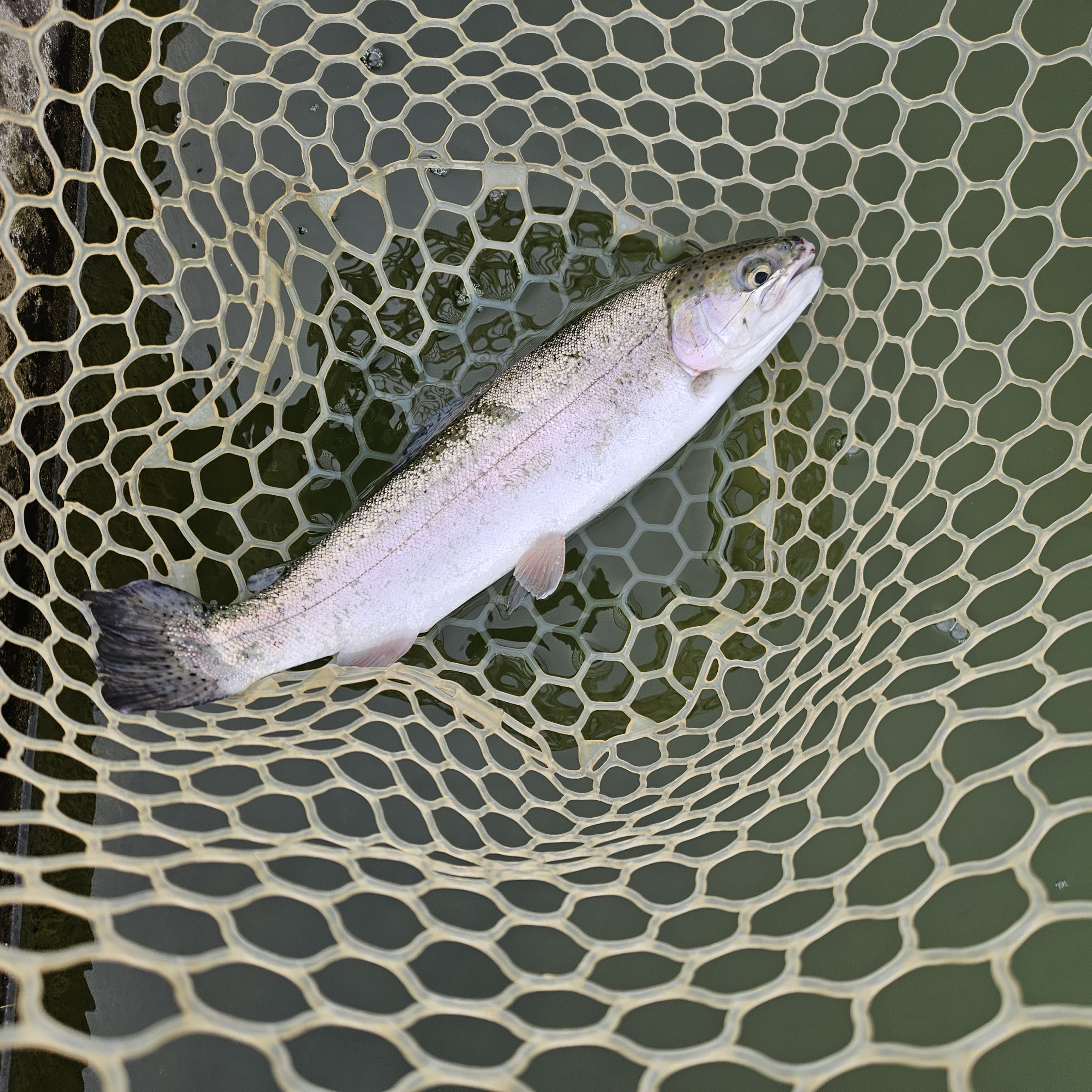 2月20日（金）八王子市　taka　さん