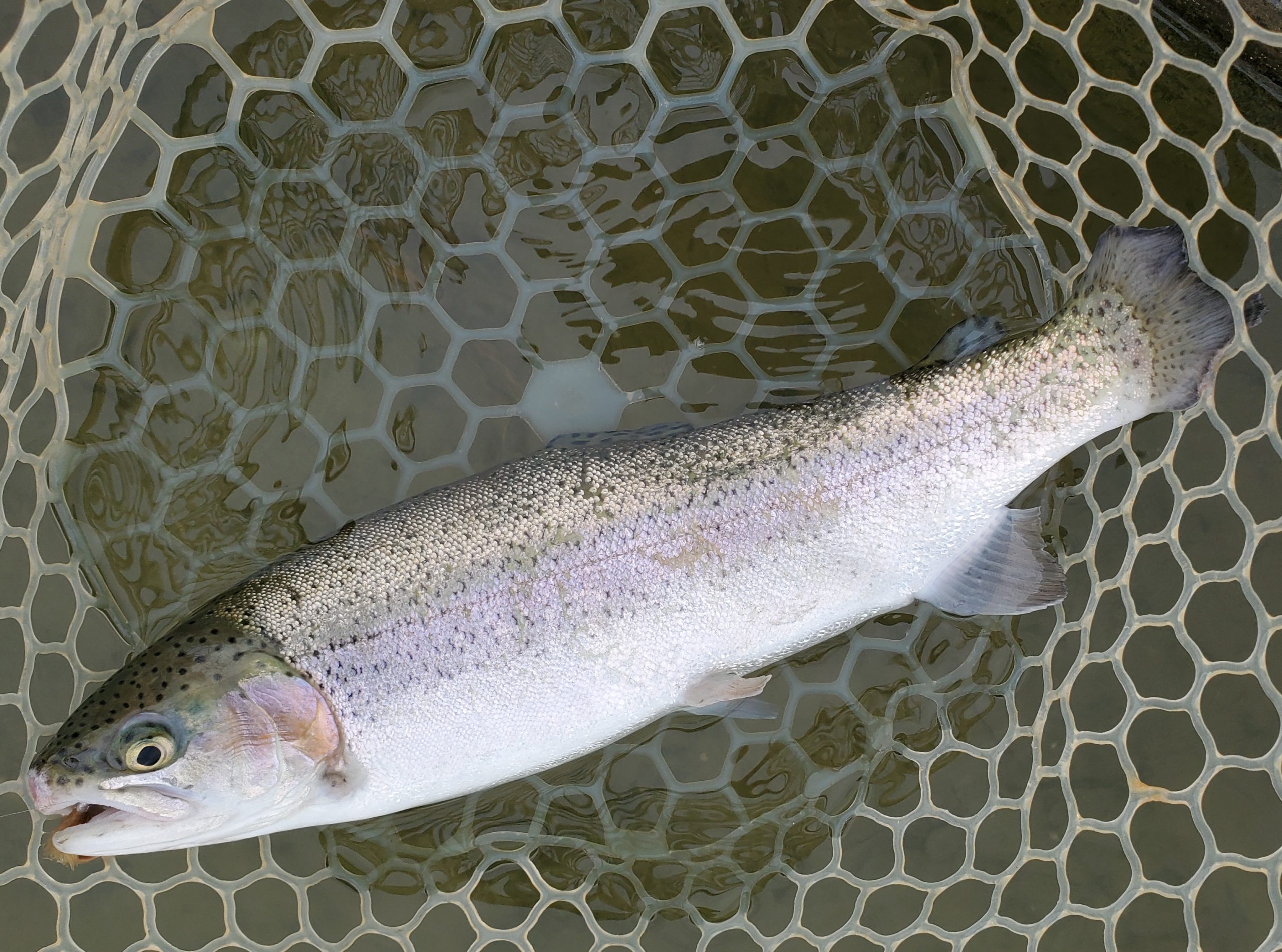 2月20日（金）入間市　寒いの苦手さん