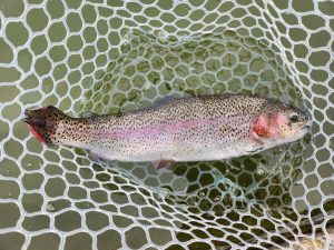 2月20日（金）あきる野市　a…hirano　さん