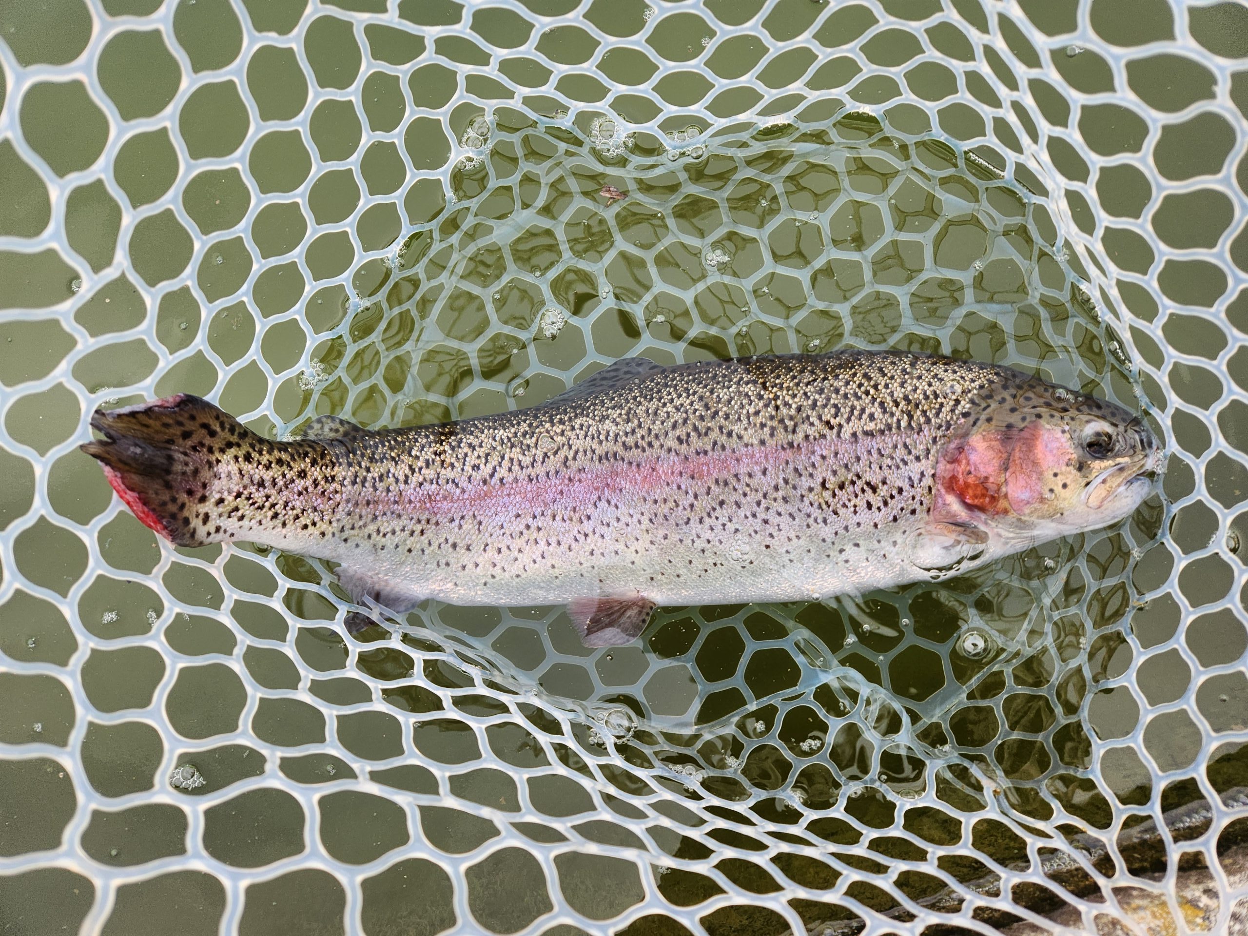 2月20日（金）あきる野市　a…hirano　さん