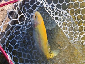 2月21日(土)　稲城市　さかいさん