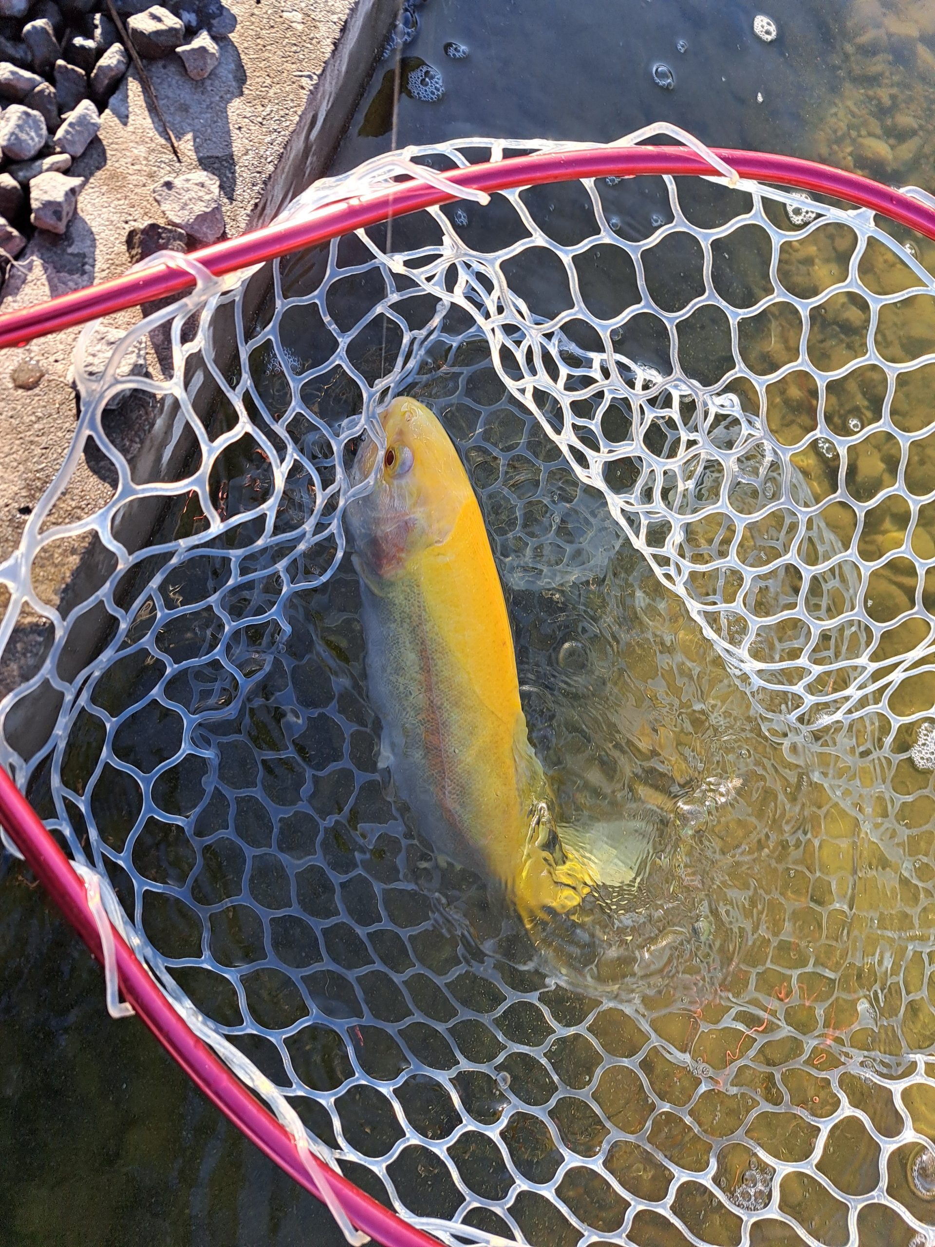 2月21日(土) 稲城市 さかいさん