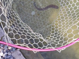 2月21日(土)　八王子市　平山さん