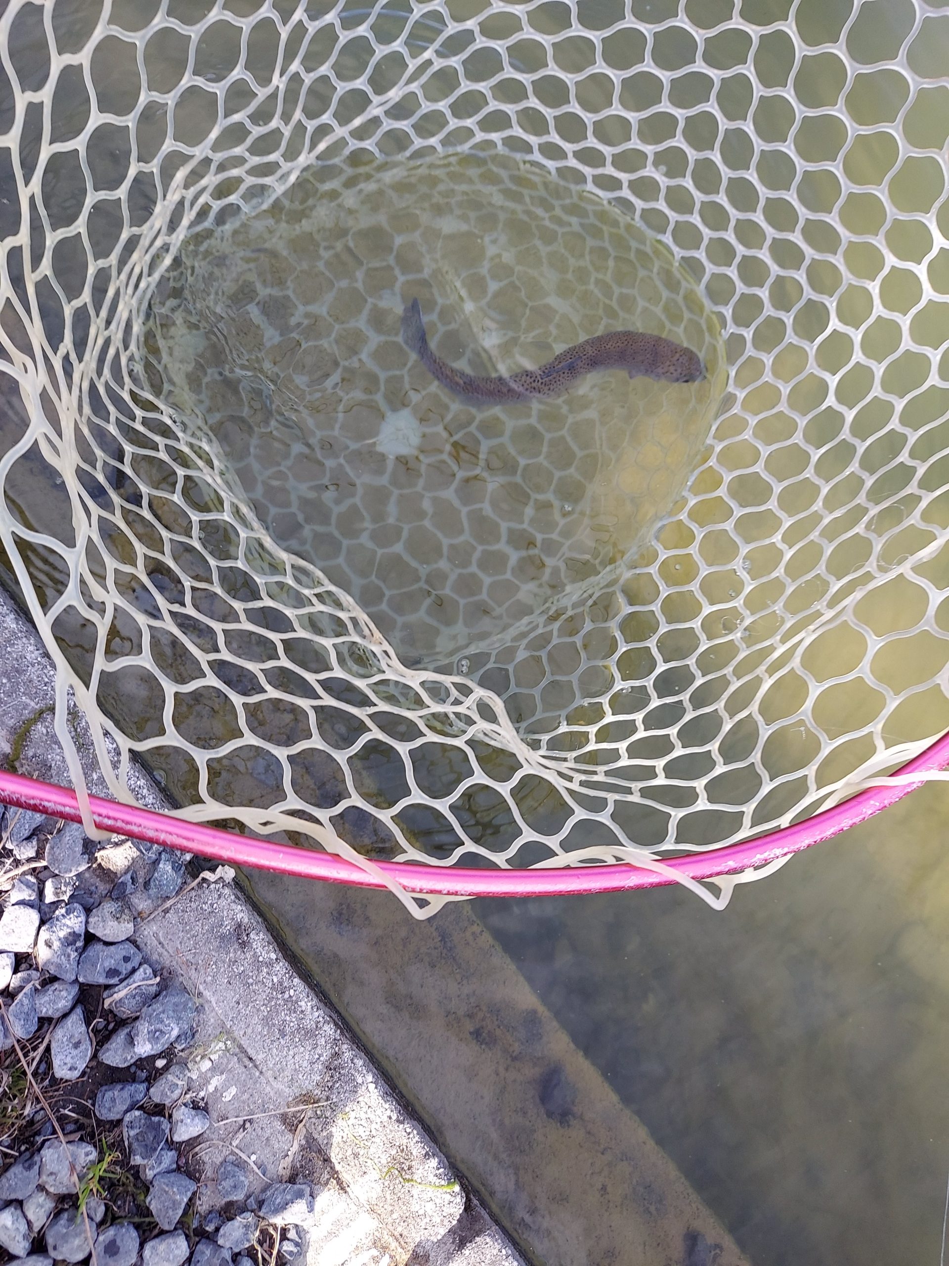 2月21日(土)　八王子市　平山さん