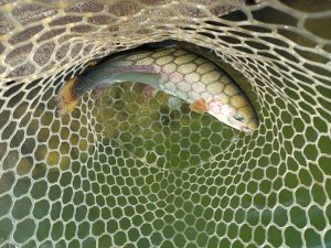 2月23日（月・祝）八王子市　平山さん