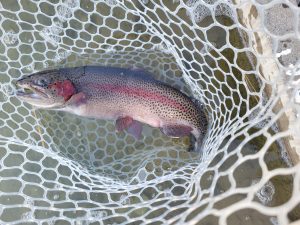 ２月23日（月・祝）八王子市　ウスイ　さん