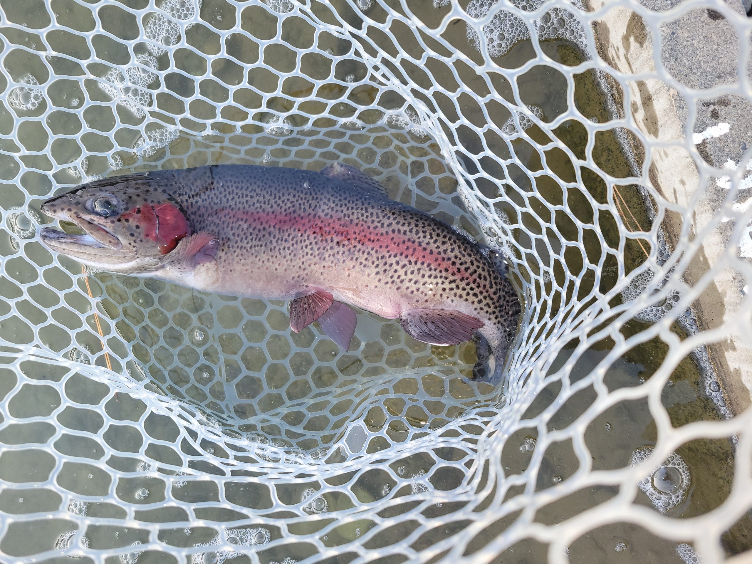 ２月23日（月・祝）八王子市　ウスイ　さん