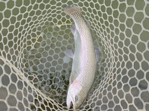 2月27日(金)　八王子市　takaさん