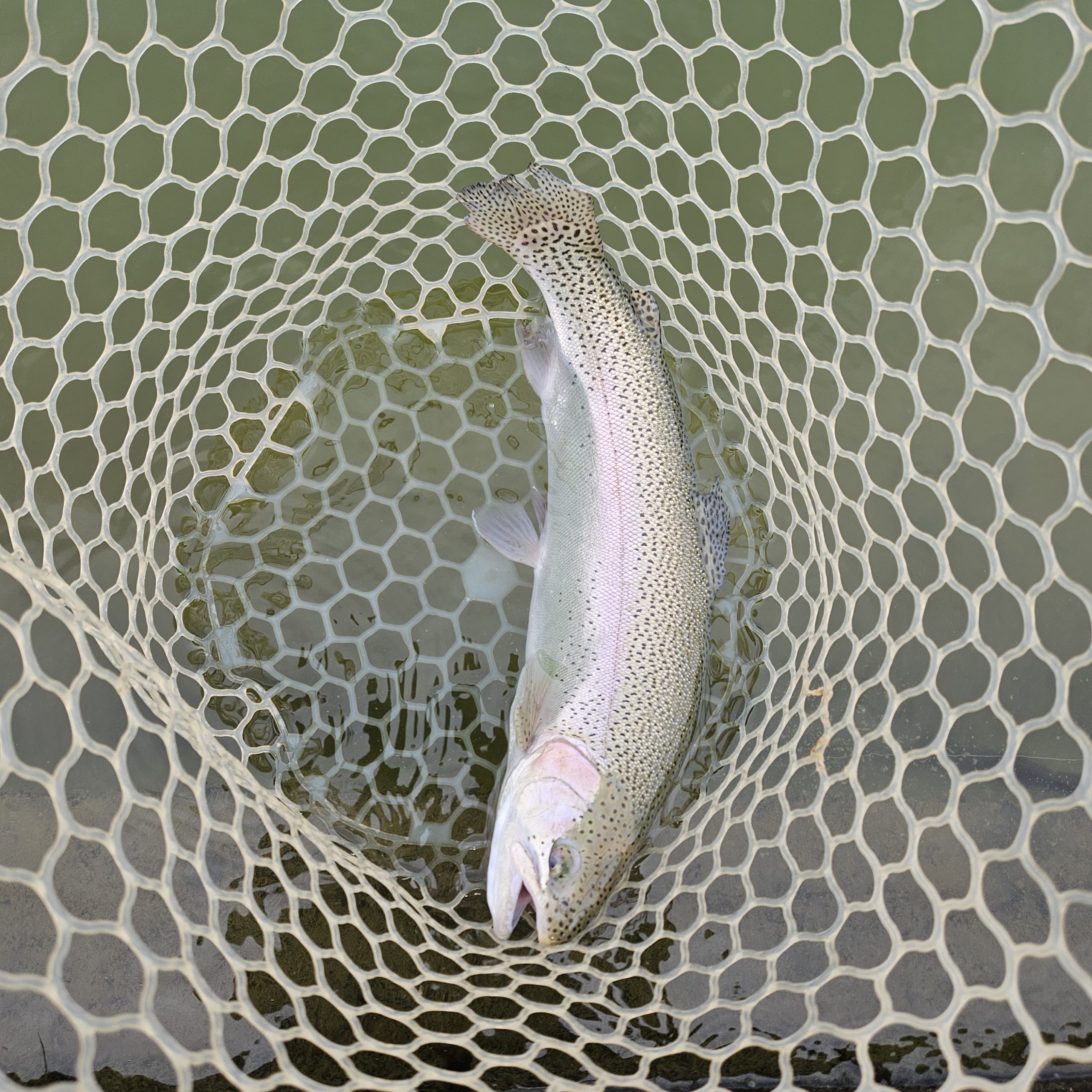 2月27日(金) 八王子市 takaさん