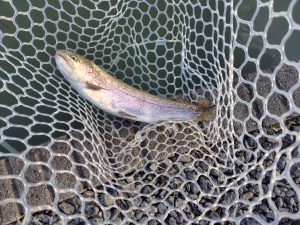 2月6日（金）福生市　ほのぼのさん