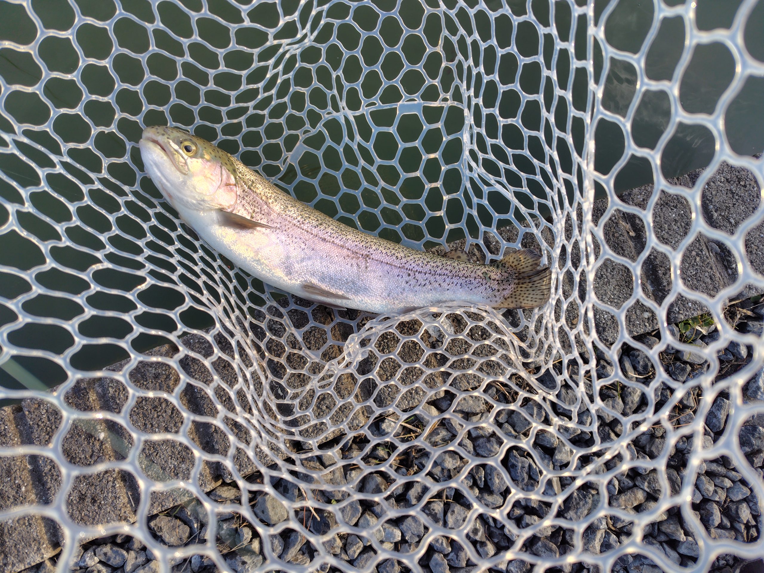 2月6日（金）福生市　ほのぼのさん