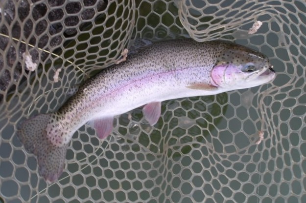 2月10日(火)　三鷹市　Kazu53さん