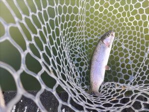 2月6日（金）和光市　かんたさん