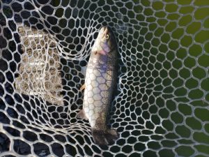 2月21日(土)　和光市　かんたさん