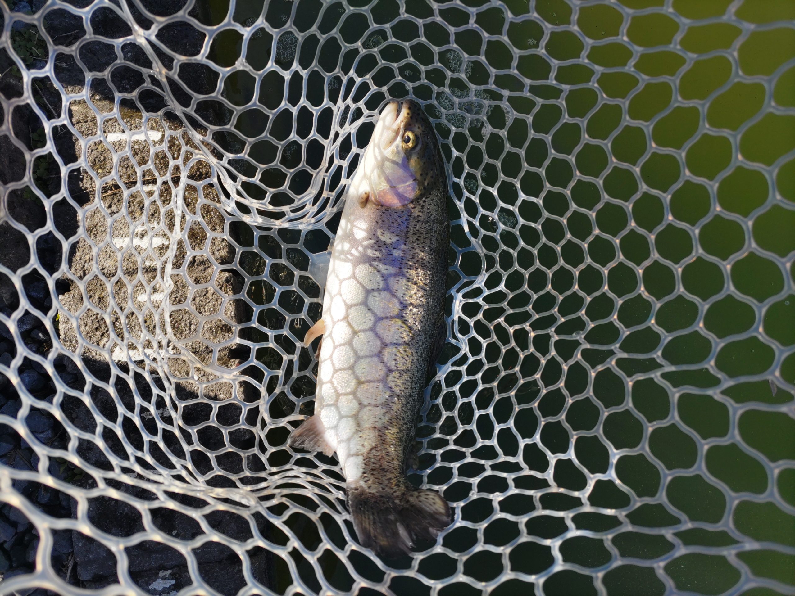 2月21日(土)　和光市　かんたさん