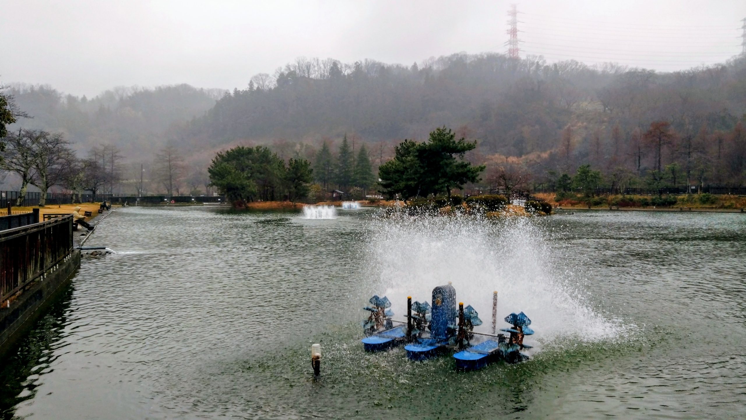 2月25日(水)　日記