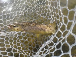 2月24日(火)　あきる野市　オザネールさん