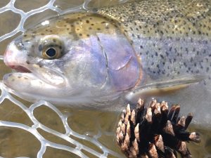 2月18日(水)　福生市　ミーナさん